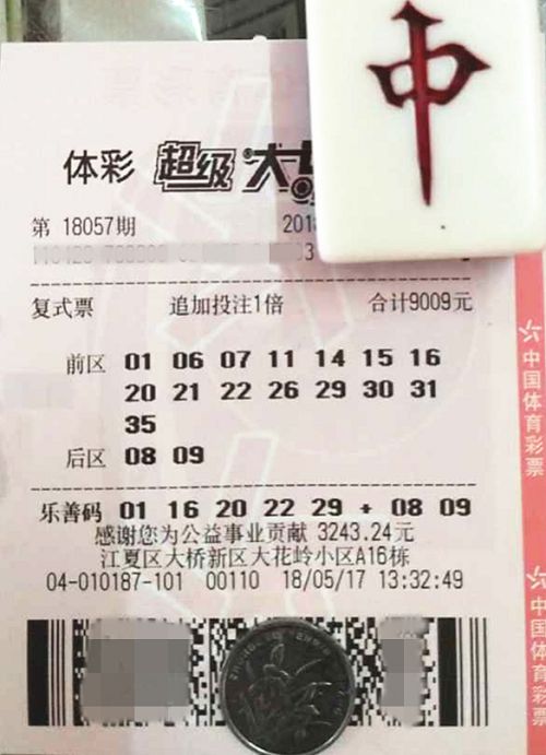 澳门六开彩天天免费开奖,澳门六开彩天天免费开奖，探索彩票的魅力与公正性