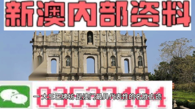 新澳门最精准正最精准龙门,新澳门最精准正最精准龙门，探索与解析