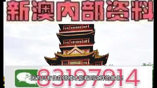 今晚澳门特马开的什么,今晚澳门特马开出的神秘号码