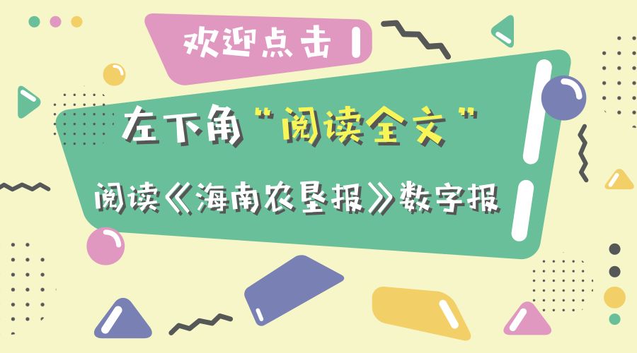 626969澳彩资料大全24期,探索626969澳彩资料大全的第24期奥秘