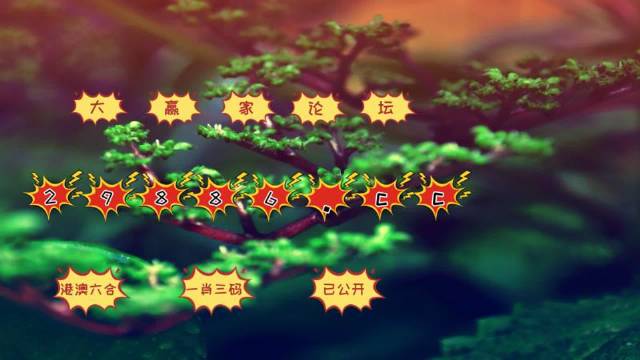 数品 第260页