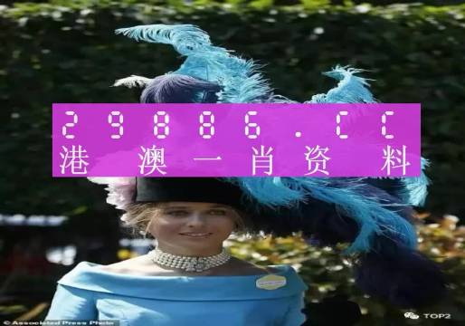 澳门一码一码,澳门一码一码，探索与解读