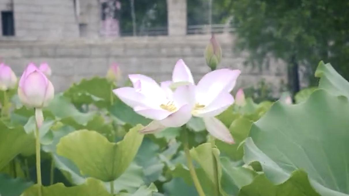 澳门一码精准,澳门一码精准，探索与揭秘