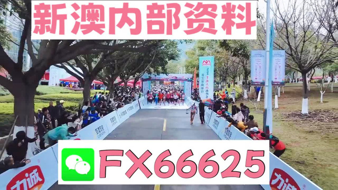 澳门挂牌之全篇完,澳门挂牌之全篇完